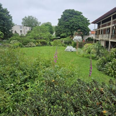 Supporting Mental Health Through Movement: Gardening at Royal Trinity Hospice - Szerelmey